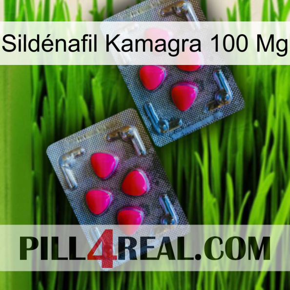 Sildénafil Kamagra 100 Mg 14